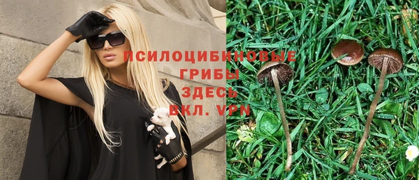синтетический гашиш Алексеевка