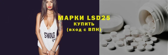 тгк Алзамай
